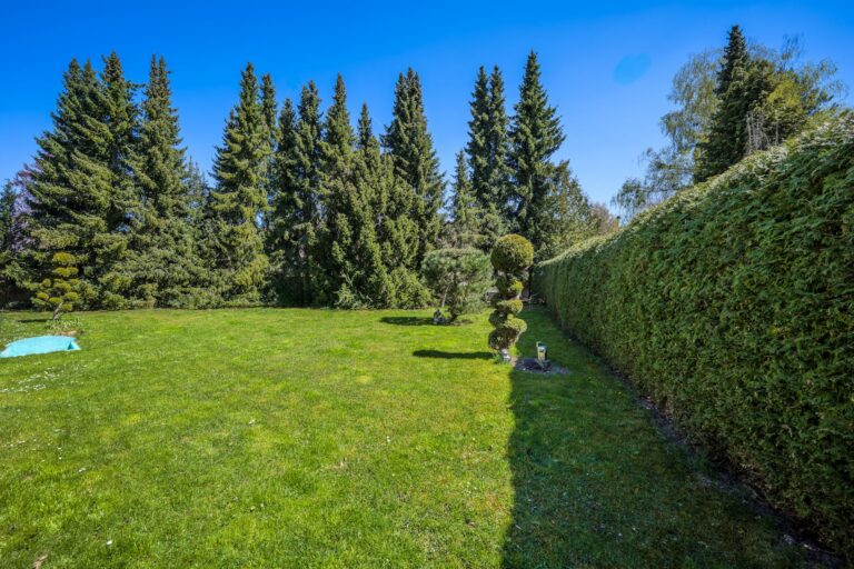 großer Garten